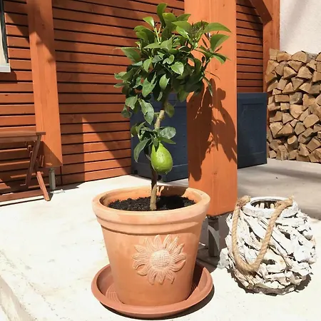 Casa vacanze Kerzenheimer Tor Gollheim