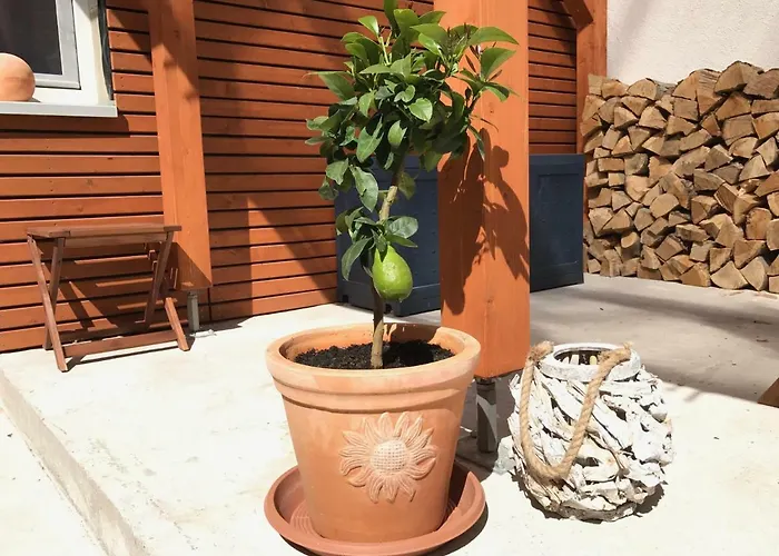 別荘 Kerzenheimer Tor Göllheim